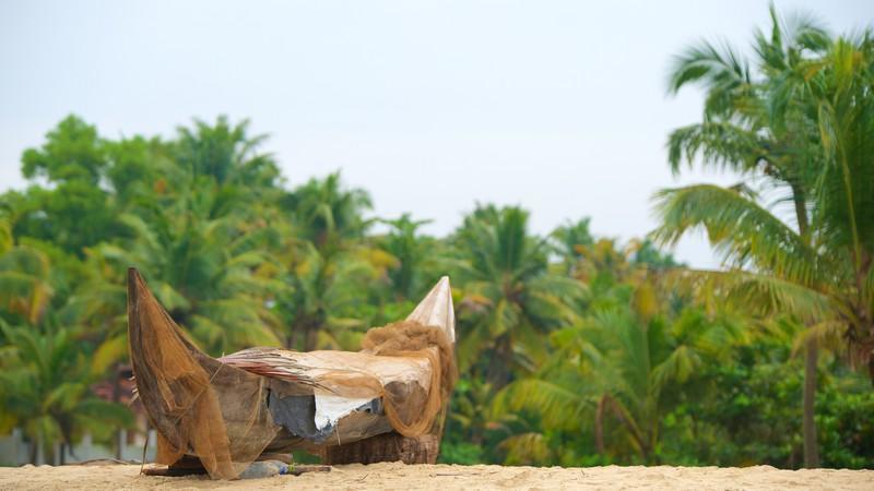 Marari Das Beach Villa Mararikulam Kültér fotó